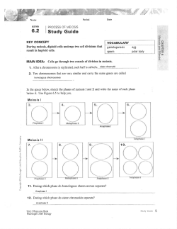 6.2 Study Guide-due Monday