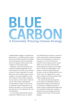 Blue Carbon - Resources for the Future