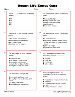 Ocean Life Zones Quiz