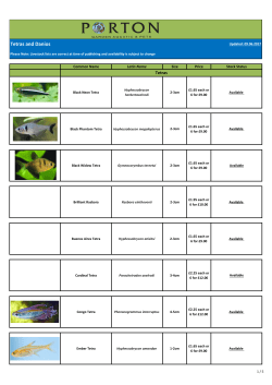 Tetras and Danios