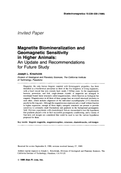 Magnetite biomineralization and geomagnetic