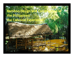 Bamboo Design and Construction in the Philippines: the Cabiokid