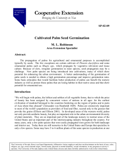 Cultivated Palm Seed Germination