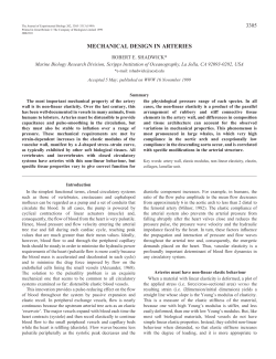 Mechanical design in arteries
