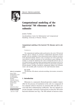 Computational modeling of the bacterial 70S ribosome and its