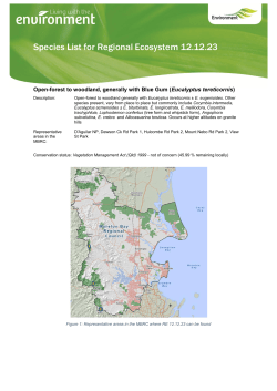 Species List for Regional Ecosystem 12.12.23