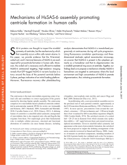 Mechanisms of HsSAS6 assembly promoting centriole formation in