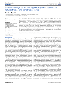 Dendritic design as an archetype for growth patterns in nature