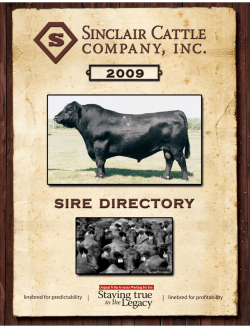 Staying true - Sinclair Cattle Company, Inc.