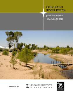 colorado river delta
