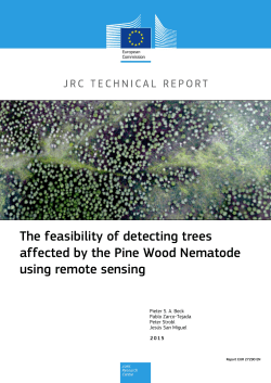The feasibility of detecting trees affected by the Pine