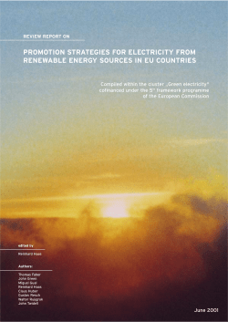 promotion strategies for electricity from renewable energy sources in