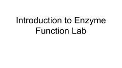 Introduction to Enzyme Function Lab