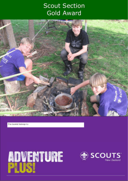 scouts_gold_booklet - Brooklyn Scouts, Wellington