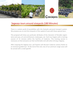 Segways tours around vineyards (180 Minutes)