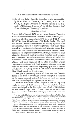 Notice of new living Crinoids belonging to the Apiocrinid.
