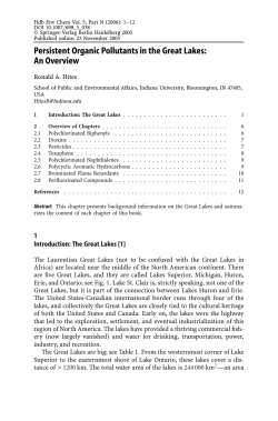 Persistent Organic Pollutants in the Great Lakes: An Overview