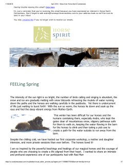 FEELing Spring - Horse Spirit Connections