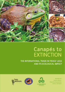 Canap&eacute;s to extinction