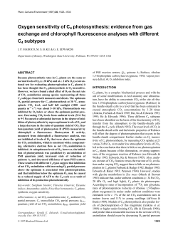 Oxygen sensitivity of C4 photosynthesis