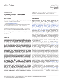 eXtra Botany Speedy small stomata?