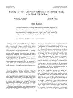 Learning the Rules: Observation and Imitation of a Sorting Strategy