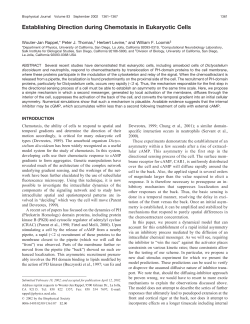 Establishing Direction during Chemotaxis in Eukaryotic Cells