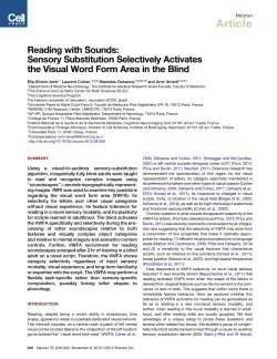 2012 - Amir Amedi`s Lab