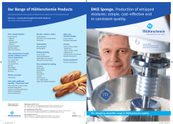 cts EMCE Sponge. Production of whipped mixtures: simple, cost