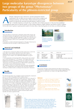 poster clo2 (Page 1)