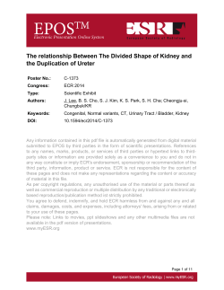 The relationship Between The Divided Shape of Kidney and the