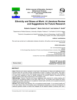 Ethnicity and Stress at Work: A Literature Review and