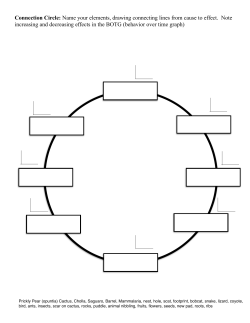 Connection Circles