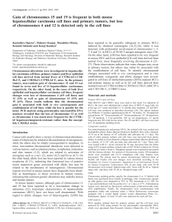 Gain of chromosomes 15 and 19 is frequent in