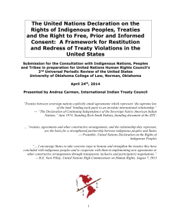 The United Nations Declaration on the Rights of Indigenous Peoples