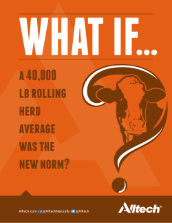 a 40,000 lb rolling herd average was the new norm?