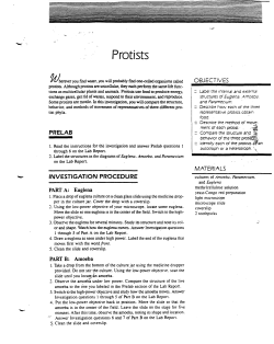 Protists - P.O.B. Schools