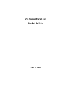 SAE Project Handbook Market Rabbits Julie Luxon