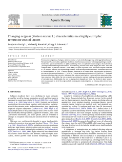Changing eelgrass (Zostera marina L.) characteristics in a highly