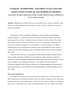 Extreme Arthropods: Exploring Evolutionary Adaptations To Polar