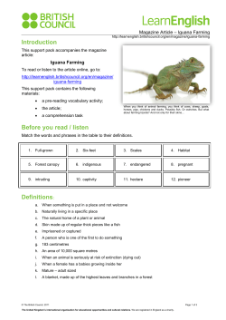 LearnEnglish MagazineArticle Iguana Farming