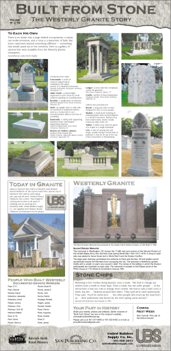 Stone Chips - Babcock