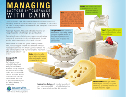 Managing Lactose Intolerance with Dairy