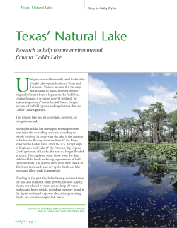 Texas` Natural Lake