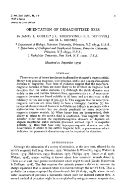 Orientation of demagnetized - Journal of Experimental Biology