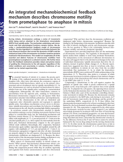 An integrated mechanobiochemical feedback mechanism describes