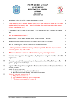 class_xii_biology_ecosystem_worksheet_14