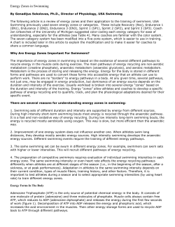 Energy Zones in Swimming