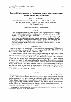 Bacterial Endosymbiosis in Paramecium aurelia
