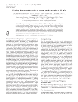Flip-flop detachment tectonics at nascent passive